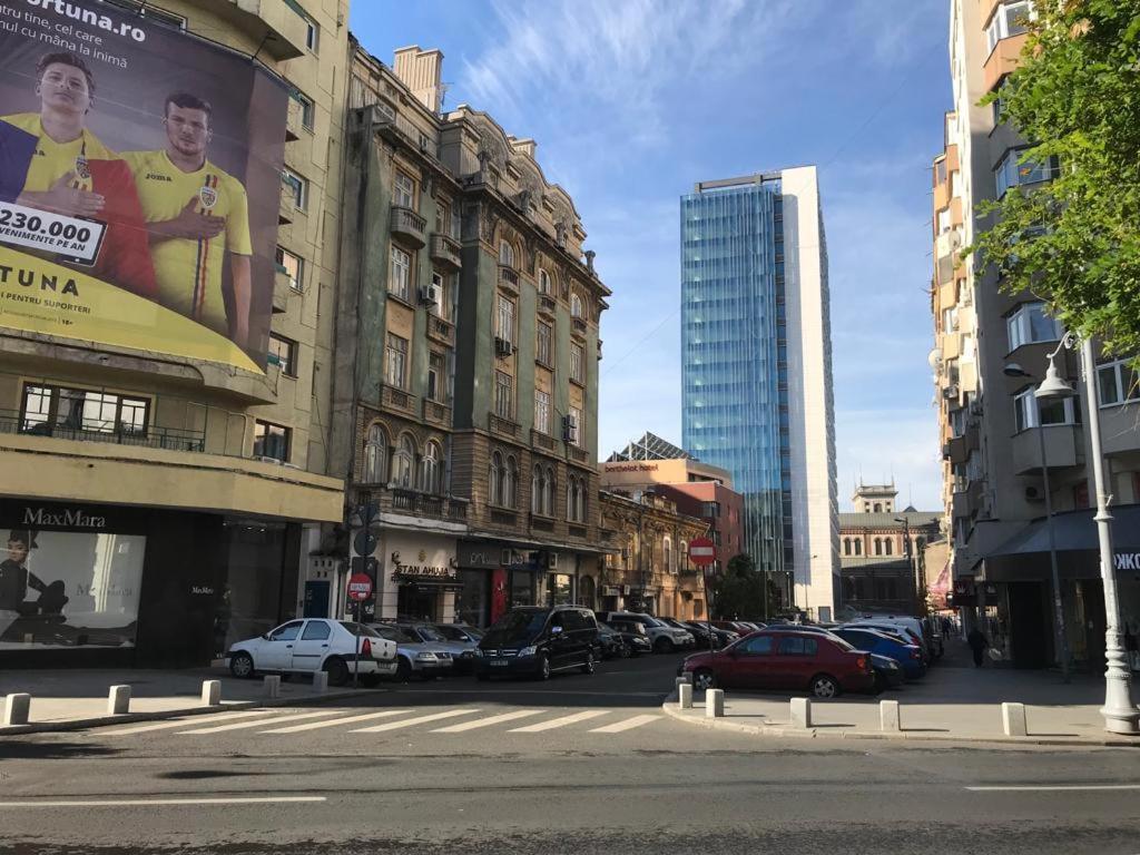 Central Appartment - Heart Of Bucharest - Sector 1 - New Renovated - Open Space Exterior photo