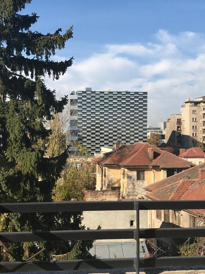 Central Appartment - Heart Of Bucharest - Sector 1 - New Renovated - Open Space Exterior photo